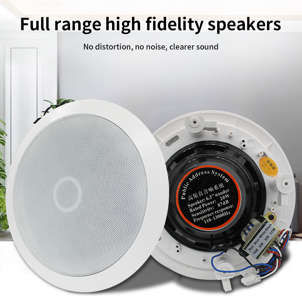 Anjielo Music speakers that can be connected to the smart central control panel